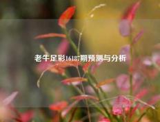 老牛足彩16187期预测与分析
