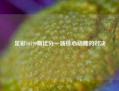 足彩16199期比分一场惊心动魄的对决