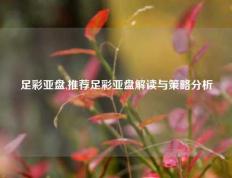足彩亚盘,推荐足彩亚盘解读与策略分析