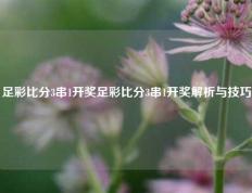 足彩比分3串1开奖足彩比分3串1开奖解析与技巧