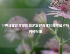 世界杯足彩买票国际足联世界杯的深度解析与购彩指南