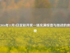 2016年11月4日足彩开奖一场充满惊喜与挑战的夜晚