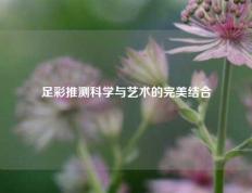 足彩推测科学与艺术的完美结合