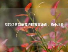 欧联杯足彩推荐把握赛事走向，稳中求胜