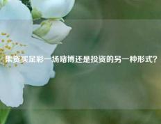 集资买足彩一场赌博还是投资的另一种形式？