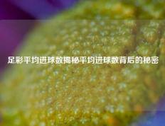 足彩平均进球数揭秘平均进球数背后的秘密