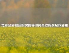 竞彩足彩投注购买揭秘如何高效购买足球彩票