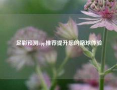 足彩预测app推荐提升您的赌球体验