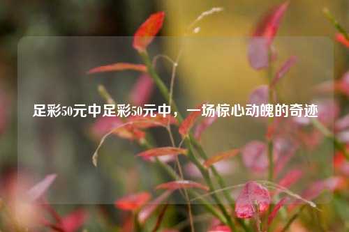 足彩50元中足彩50元中，一场惊心动魄的奇迹