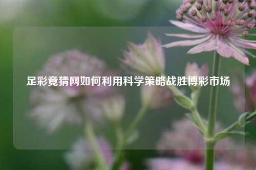 足彩竟猜网如何利用科学策略战胜博彩市场
