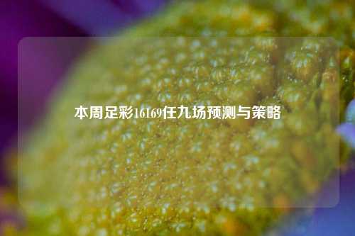本周足彩16169任九场预测与策略