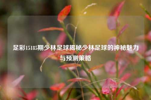 足彩15185期少林足球揭秘少林足球的神秘魅力与预测策略