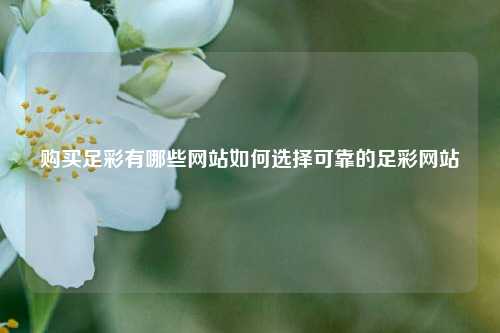 购买足彩有哪些网站如何选择可靠的足彩网站