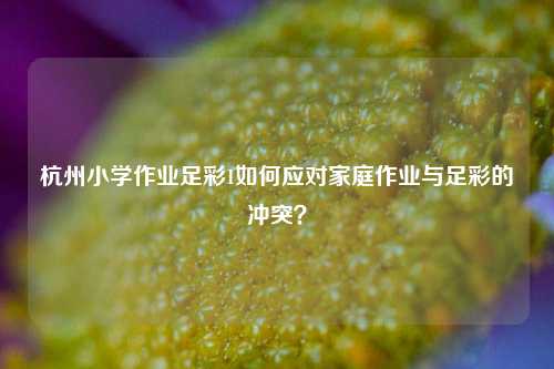 杭州小学作业足彩1如何应对家庭作业与足彩的冲突？