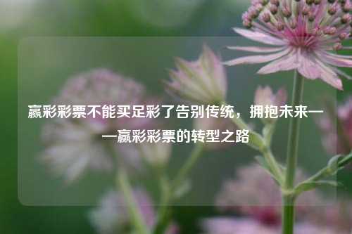 赢彩彩票不能买足彩了告别传统，拥抱未来——赢彩彩票的转型之路
