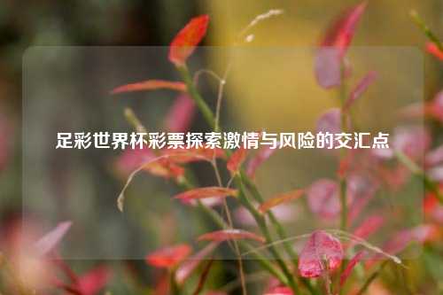 足彩世界杯彩票探索激情与风险的交汇点