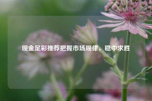 现金足彩推荐把握市场规律，稳中求胜