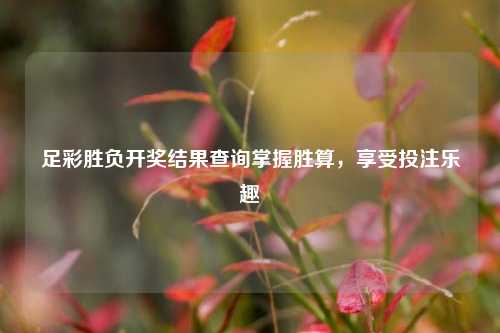 足彩胜负开奖结果查询掌握胜算，享受投注乐趣