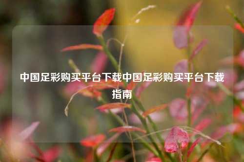 中国足彩购买平台下载中国足彩购买平台下载指南