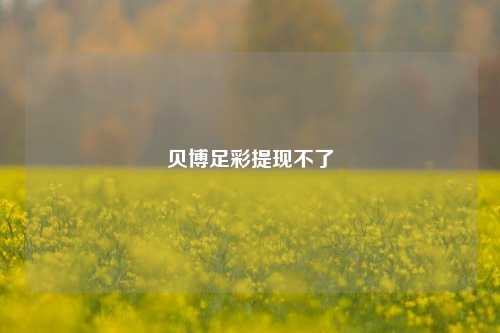 贝博足彩提现不了