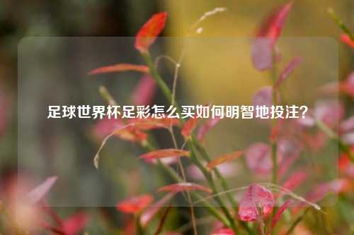 足球世界杯足彩怎么买如何明智地投注？