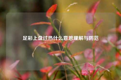 足彩上盘过热什么意思理解与防范