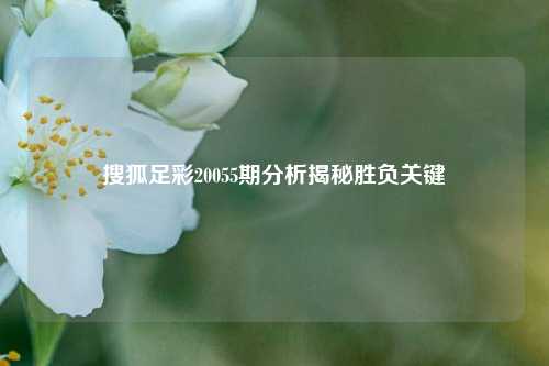 搜狐足彩20055期分析揭秘胜负关键
