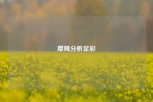 摩羯分析足彩