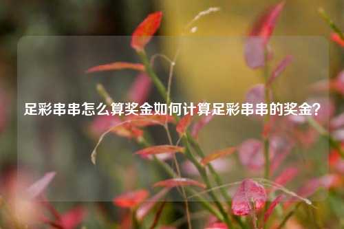 足彩串串怎么算奖金如何计算足彩串串的奖金？