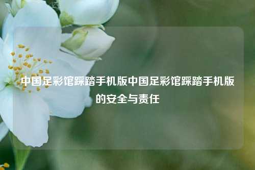中国足彩馆踩踏手机版中国足彩馆踩踏手机版的安全与责任