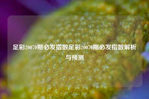 足彩20070期必发指数足彩20070期必发指数解析与预测