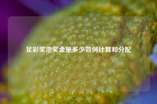 足彩奖池奖金是多少如何计算和分配