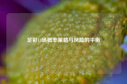 足彩14场概率策略与风险的平衡