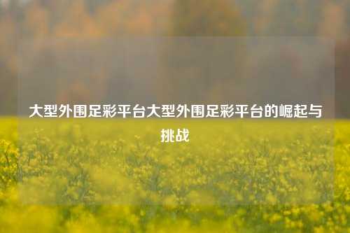 大型外围足彩平台大型外围足彩平台的崛起与挑战
